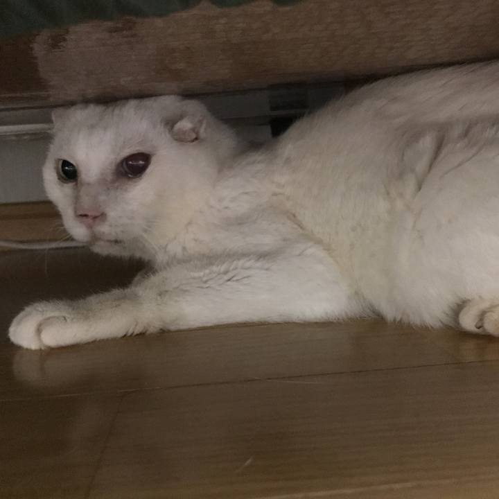 65437748 38b8 4c53 9458 a9e0a2441521 1539614306702