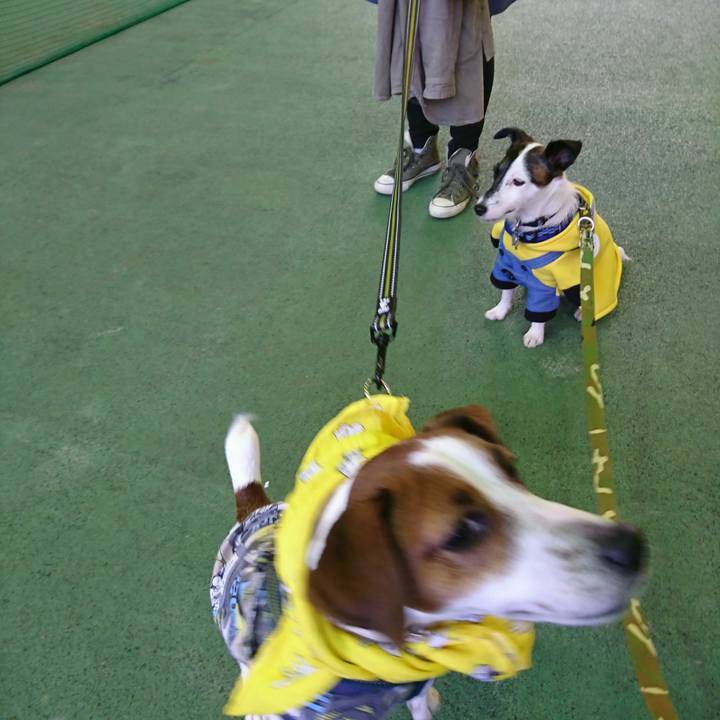 6544004c b09e 4b64 abf3 031658318bbc 1509870223149