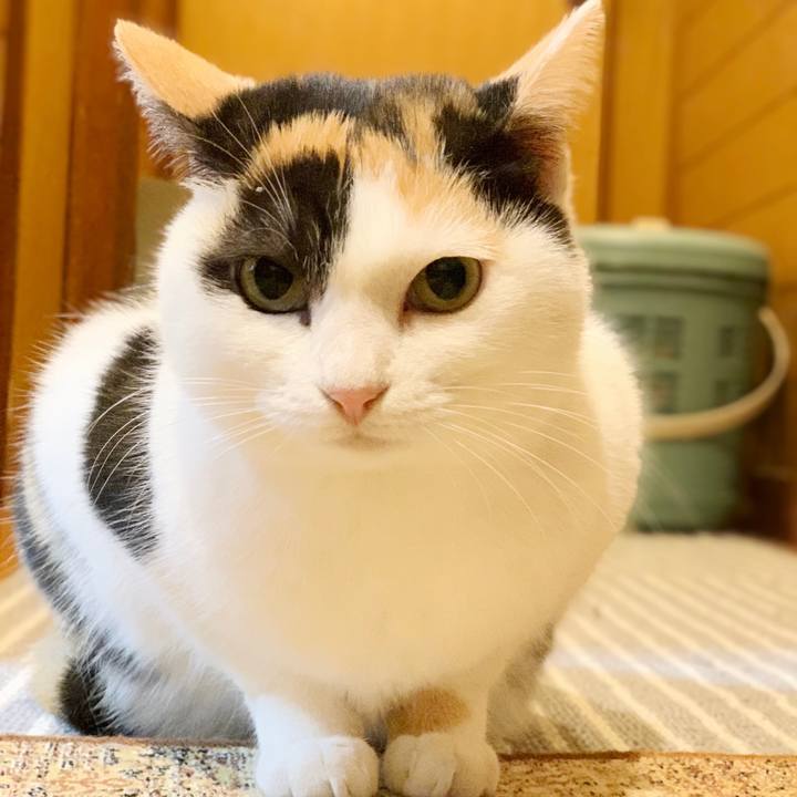 6544071d 0214 4092 93e1 fa6f98ea62a9 1550022789099