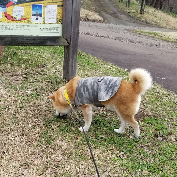 654438a9 f400 4e67 b91b 395043dfdad6 1679637130045