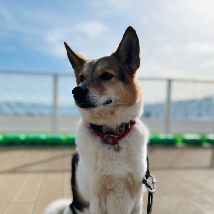 65443a7a aade 4839 8d09 a99a989002ea 1772153150540