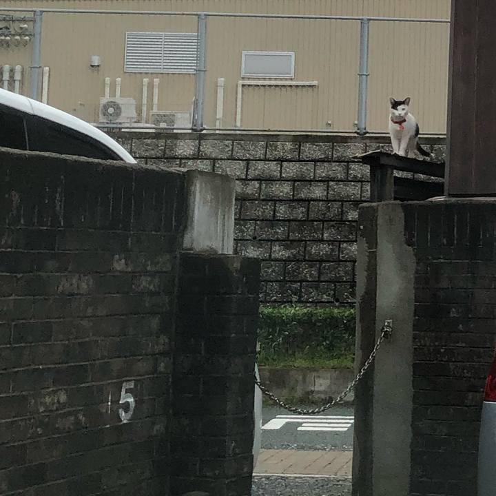 654461e9 9bdf 4221 b43c 869409fe5e73 1631916525280