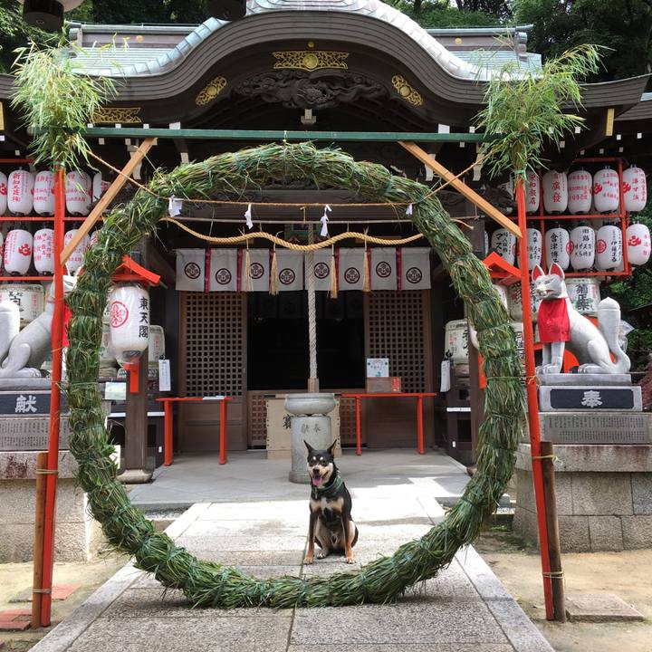 65447ff6 5138 49cf a1a7 587c91bdc1d6 1530324035697