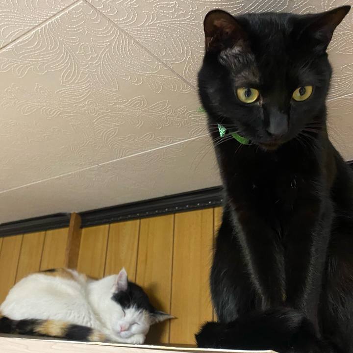 6544c657 9b23 4d31 a2e2 78b17b845c54 1646574297229