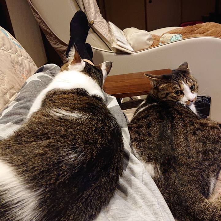 6544e9a0 db21 47c8 887f 8ce5a7411f2e 1608631957437