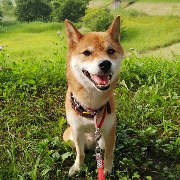 6544f3ee 96ee 4531 bf64 fe24325b9eaf 1595231621222