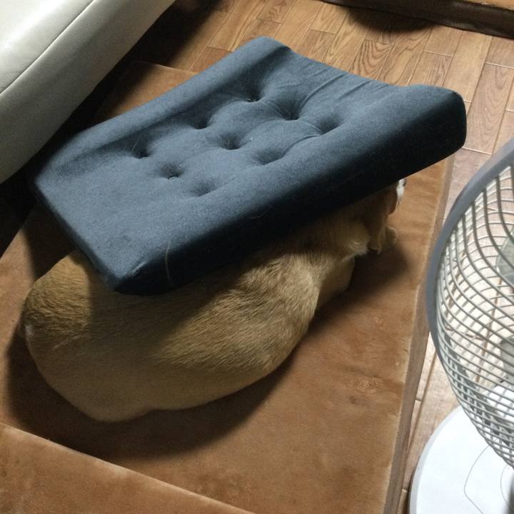 6544ff48 91f4 4722 b5c0 6a2c82951f6d 1628781631743