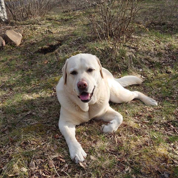 654500ef 8ded 4849 bcf8 8ab11976fd59 1650631990687