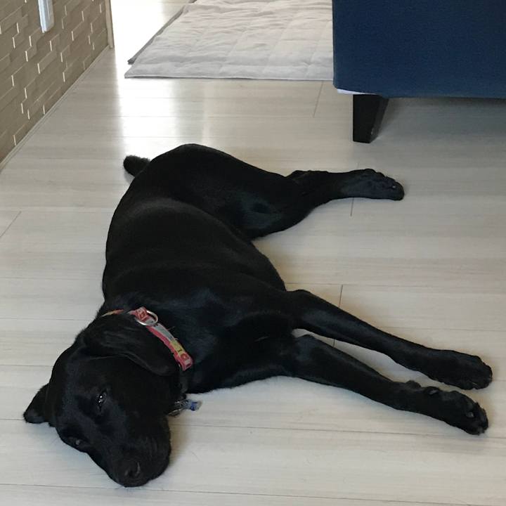 654501b5 c6b3 4820 8ad5 0fac00a0b0db 1530484528967