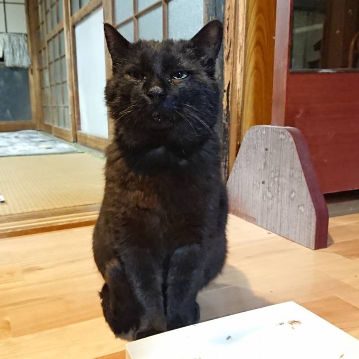 65450392 dfef 4751 812d be678085a627 1620300936182