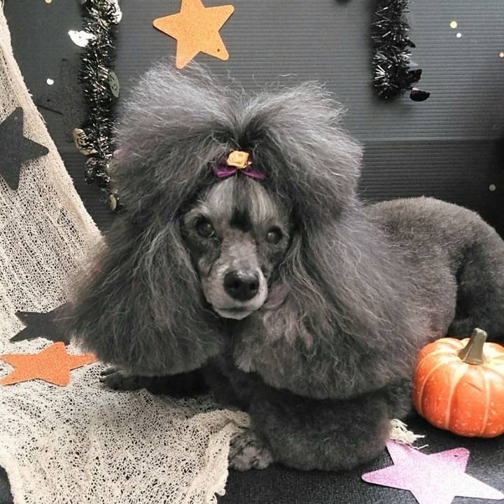 6545179a 8788 4a19 9a95 d1853256b6b9 1761340544846