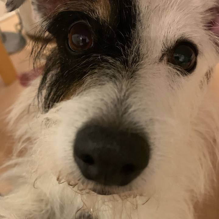 65456db6 6bb1 483f 962b cbebb359439b 1660136441234