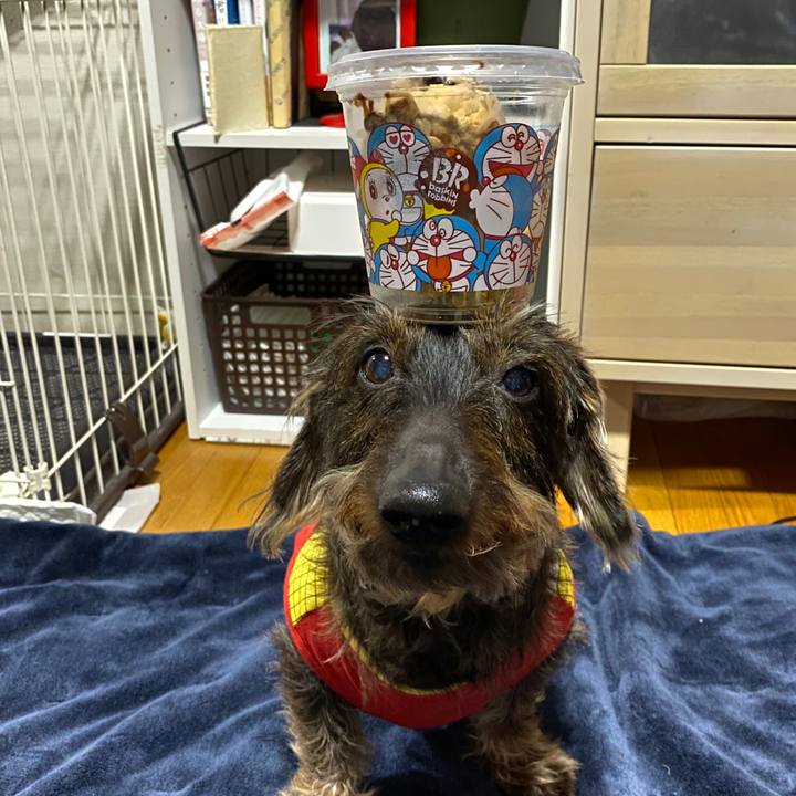 65458c5c 5e96 4862 81c5 a0f2282b40a4 1585655314987