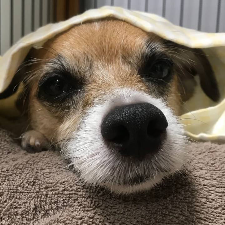 6545cd19 cd4b 4c68 bf39 0ca92833c047 1535377184717