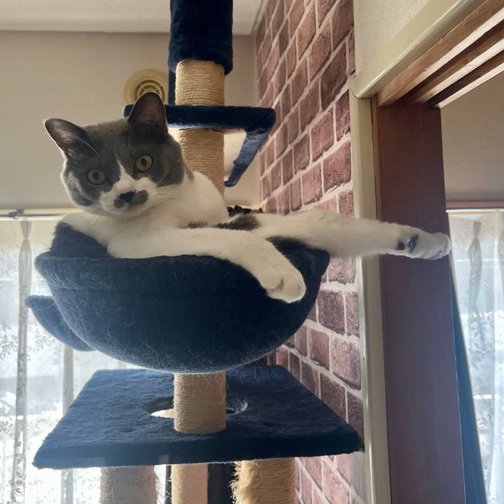 6545da35 23b7 4d35 b534 d810274e3b01 1665470020645