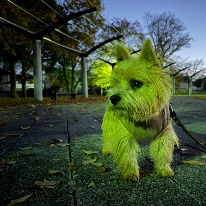 6545ec45 eec0 4c7e 818c a265bcef7c86 1764231729573