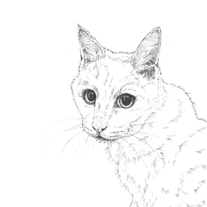 6545ef9a 64e2 4f78 aff3 40e9e1b7b1ad 1580733749172