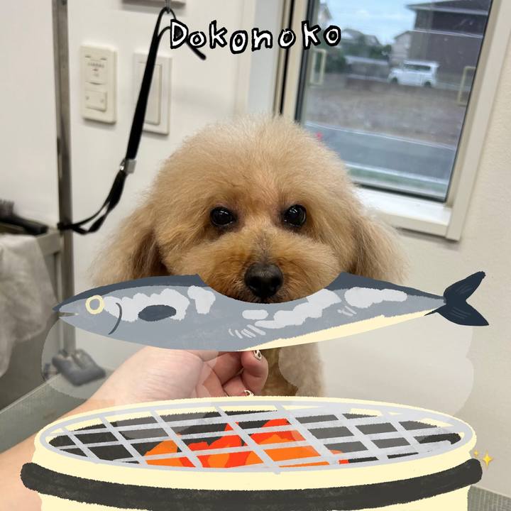 654632a9 1ea5 4a5e 8f5e 462d1cdb9665 1761687327898