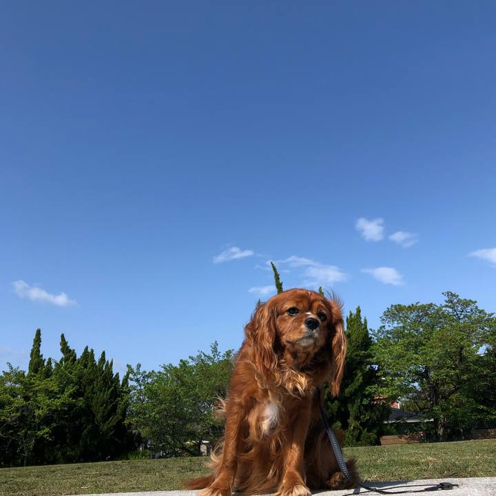 65463710 825e 4109 a8c6 f2a1c782b229 1618751186694