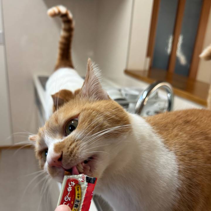 654664c6 009a 478c a51e 617d5c8569a3 1769230116490