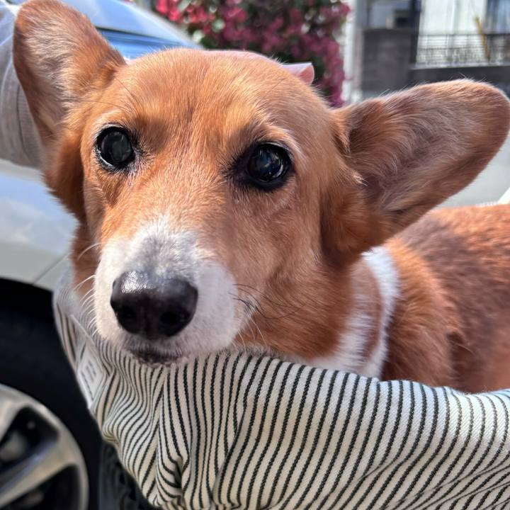 65468012 f492 4feb 9a8c 23e447f03196 1744084666590