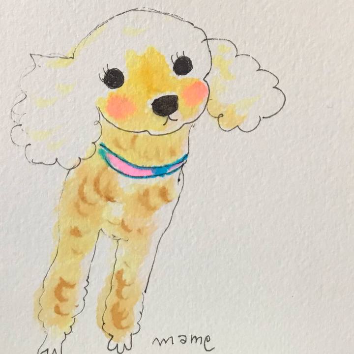 6546b84a bd8f 4443 8059 e40987cd901b 1617942494735