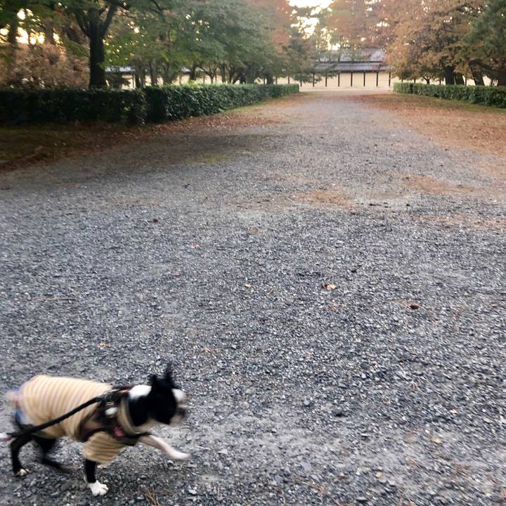 6546e56e b0e3 46c8 92a7 1994fe436552 1543026638371