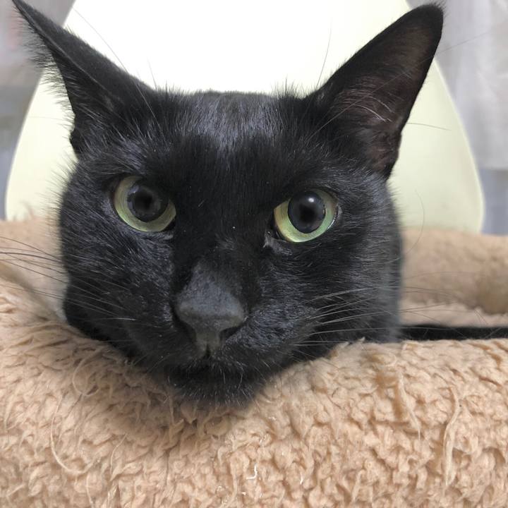 65473576 9311 4a5c af1d 64afb7404fec 1634554046829