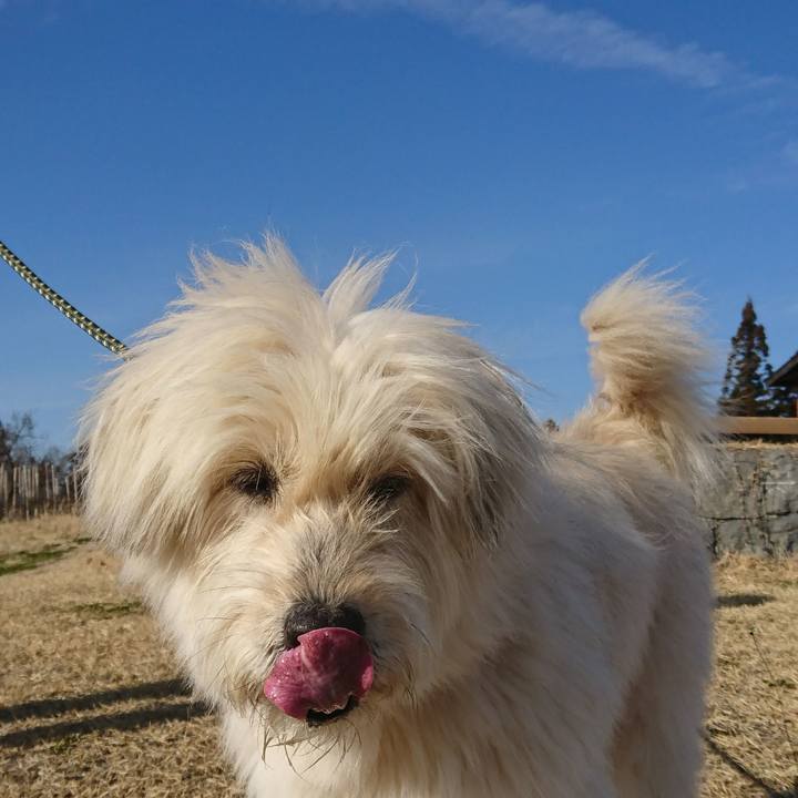 6547971f 59c7 4189 8df3 7c696b2e37a6 1583578236815