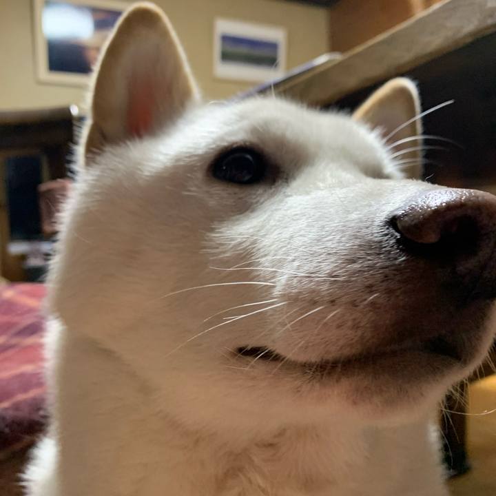 6547aa31 cdbc 4984 a32c aaffb08cea49 1576307984492