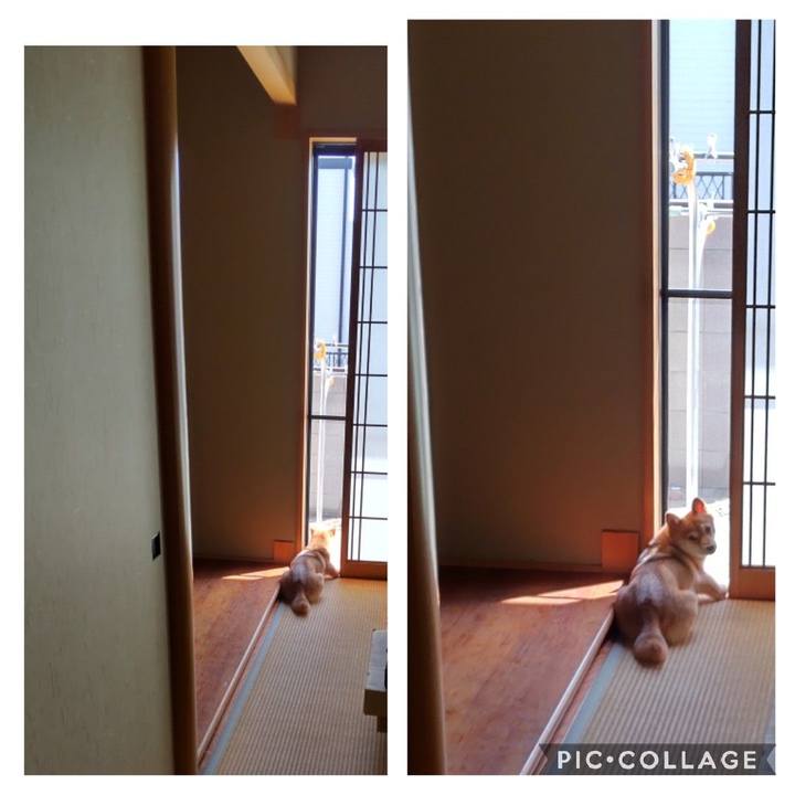 65480300 fe53 432b b386 a9a22e1b3f5c 1663304918823