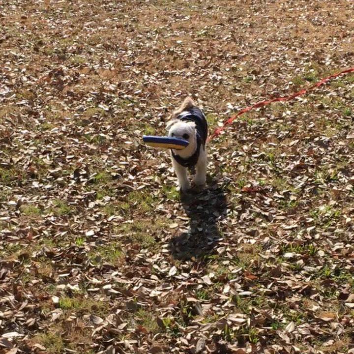 654865b2 d50f 4dfa 9378 2eae504e0cbd 1549181489184