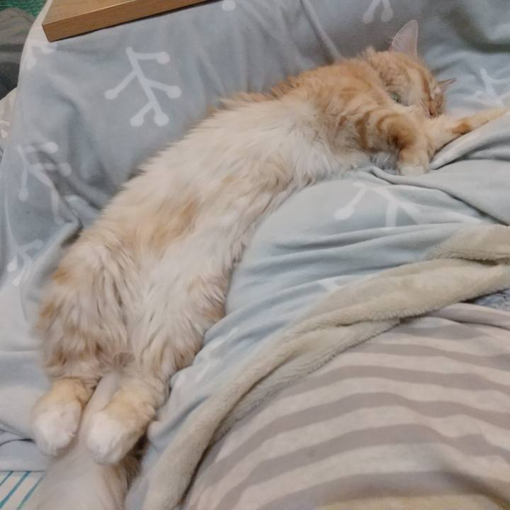 6549057b 2bb5 412a 96a5 714fdd2a323c 1638696902282