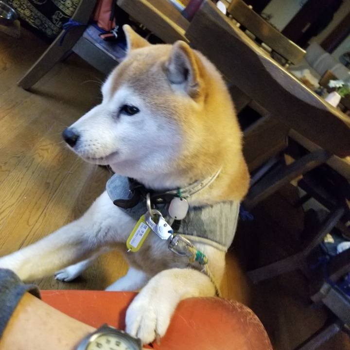 65491504 ccb9 47f9 b23e 0bbc79f0ffb6 1648283101611