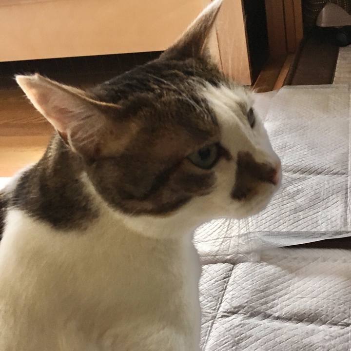 6549ba0d e498 454f 8018 3c860d5296ba 1528183793715