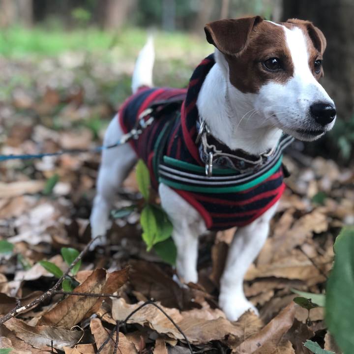 6549ed58 5afb 45d8 9114 5c1189e9e553 1577938415069