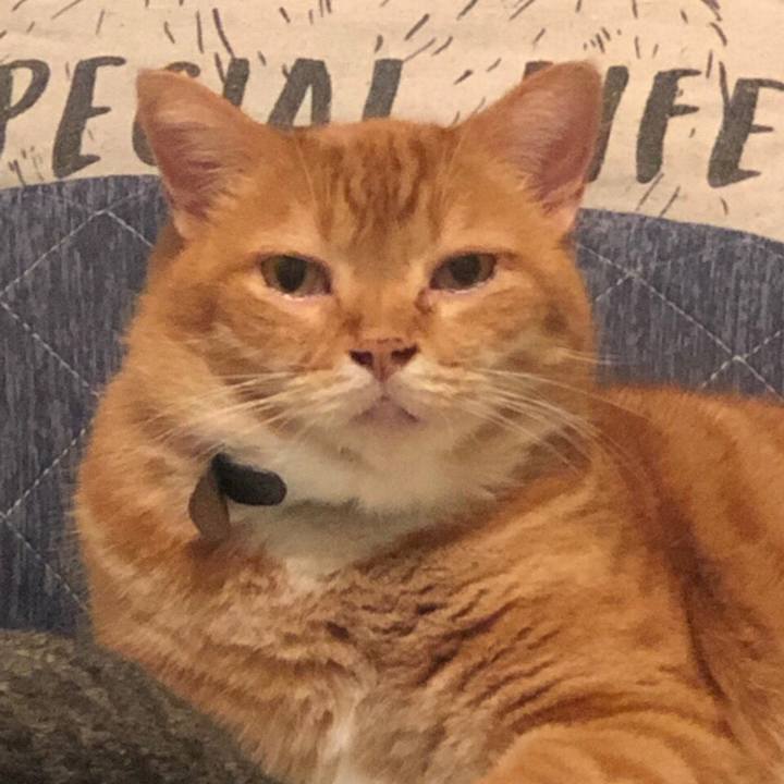 6549ffa6 e291 4175 9501 232e2a327459 1585839581609