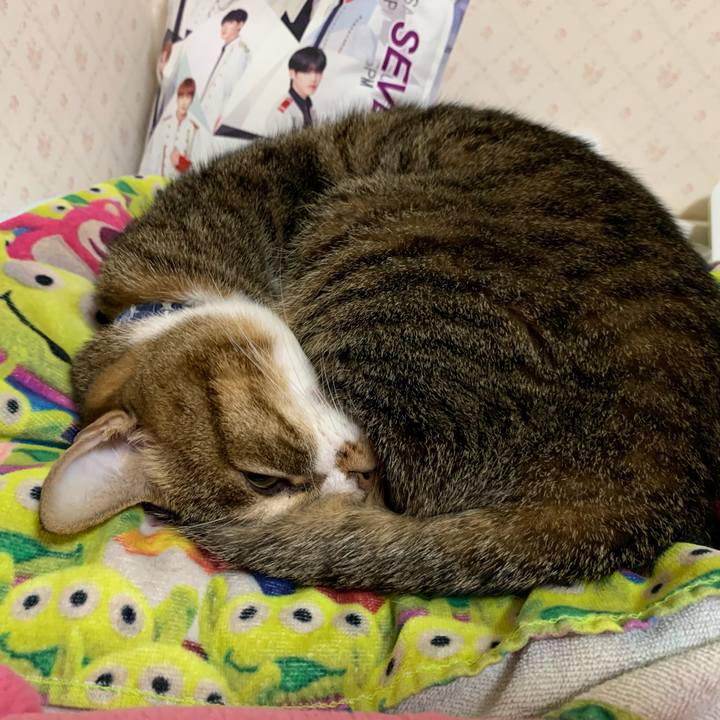 654a2f26 6ecc 4eb9 b773 787b98127fba 1606911362273