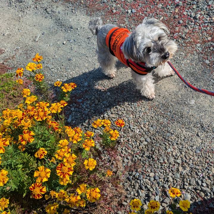 654a662b d700 49bc 9b95 2c557b1754a9 1762567582786