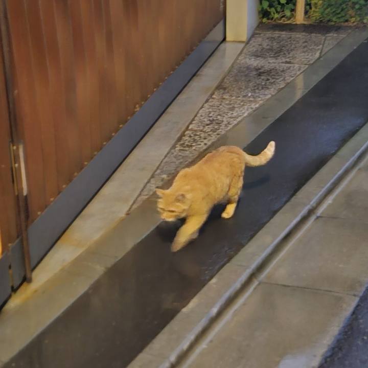 654a8ec8 a88b 4843 ad66 3a1b8230ab0c 1717106251965