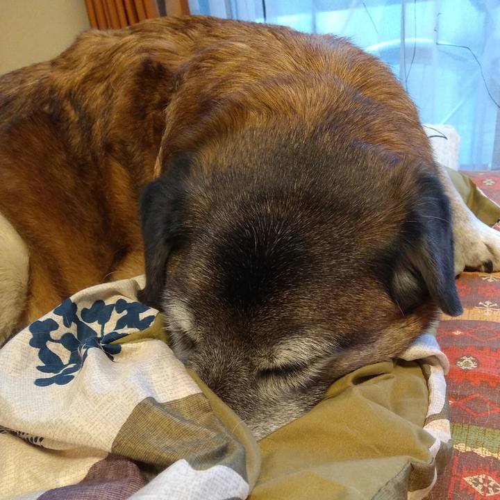 654ac867 2bf4 441b 8ff3 bb186c1f1ec3 1550041331112