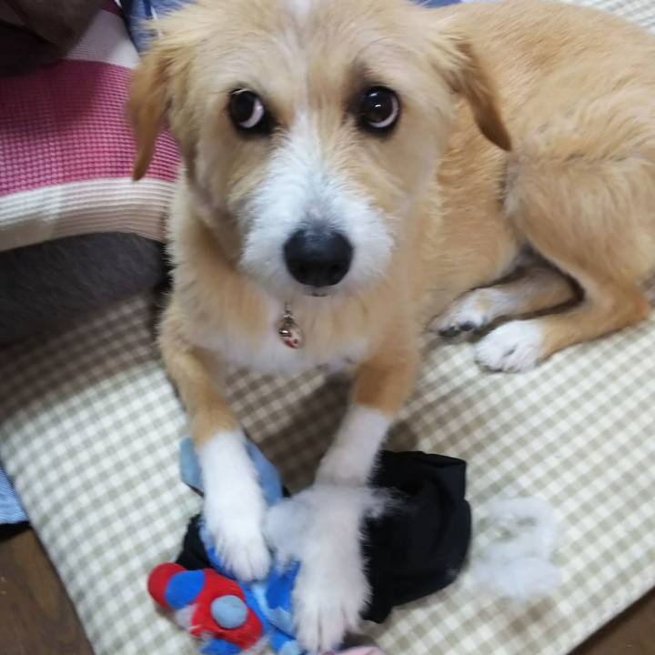 654ae8a8 c9ff 4cb9 a8ce 1ddd80488f89 1562757490988