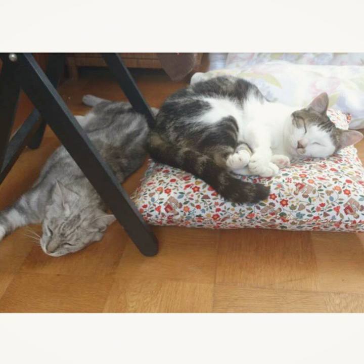 654b0eef 3da6 4f18 a374 62d93b55d705 1554262425325