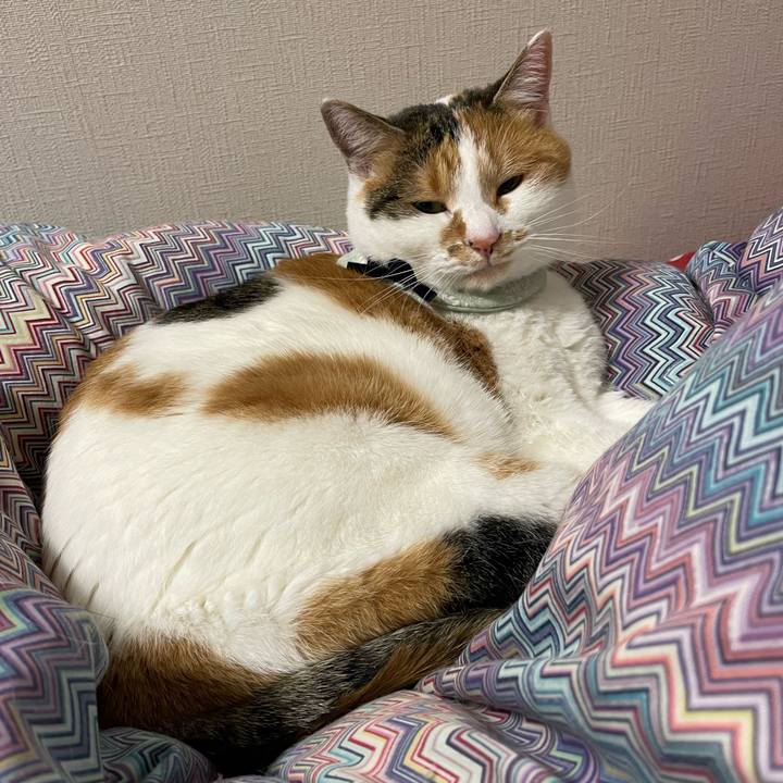 654b2eb8 530d 43dd ba3d 3edef3b1d6cf 1670162559177