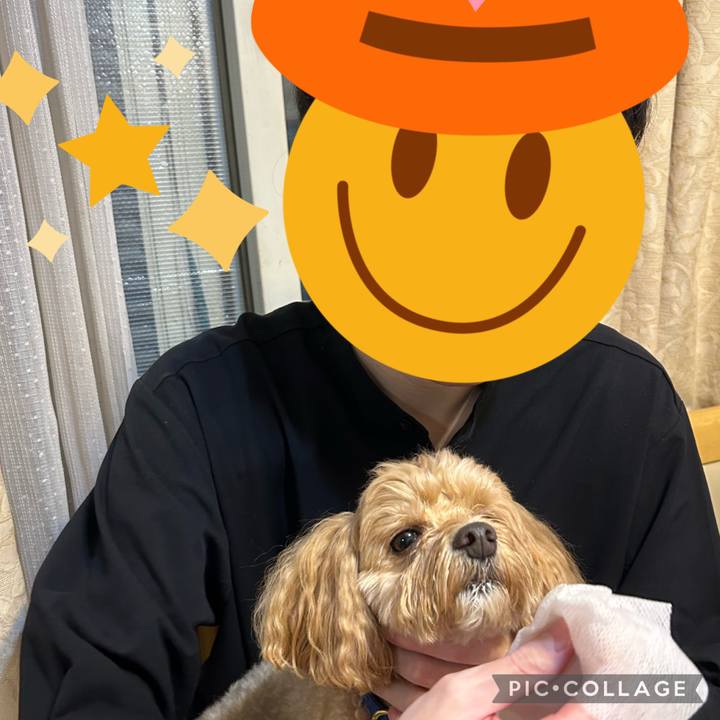 654b8fbf 98ba 4420 b779 12e7d19743bb 1699613829559