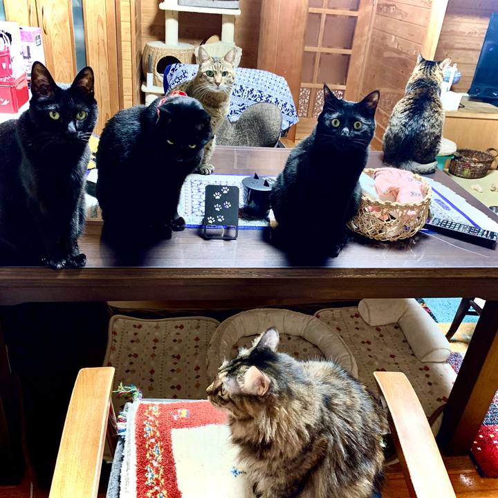 654ba848 7d63 4b4b 8aed d81c637f5ced 1676033526341