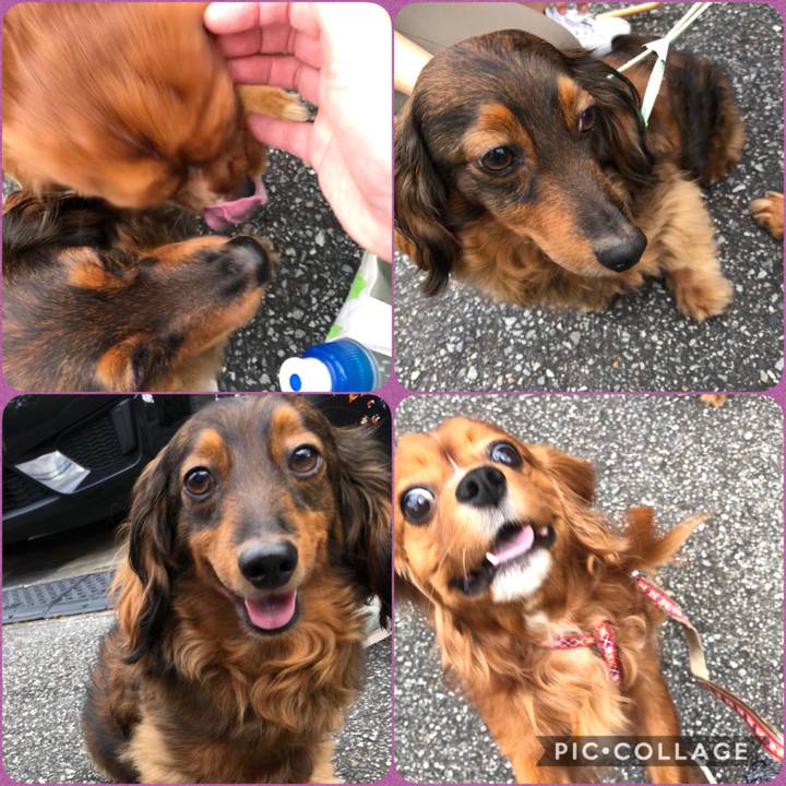 654bb1b8 b211 4bba a999 ce51c1a3801d 1590323712923