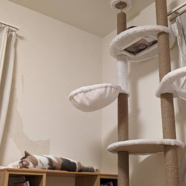 654c2c6f 5059 4f07 aa17 203d107fe0fc 1688801176693