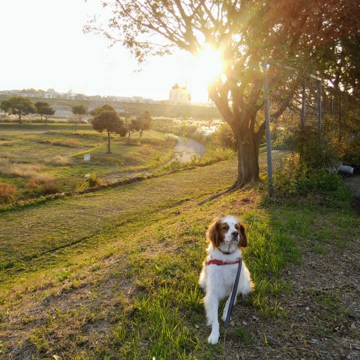 654c3392 2aaf 475f 9fcb 5ee77f7992c0 1541934785982