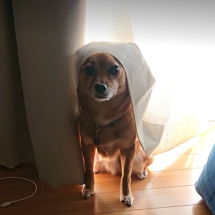 654ce2d4 8c71 42b6 a948 44e33f9b6e75 1585973036110